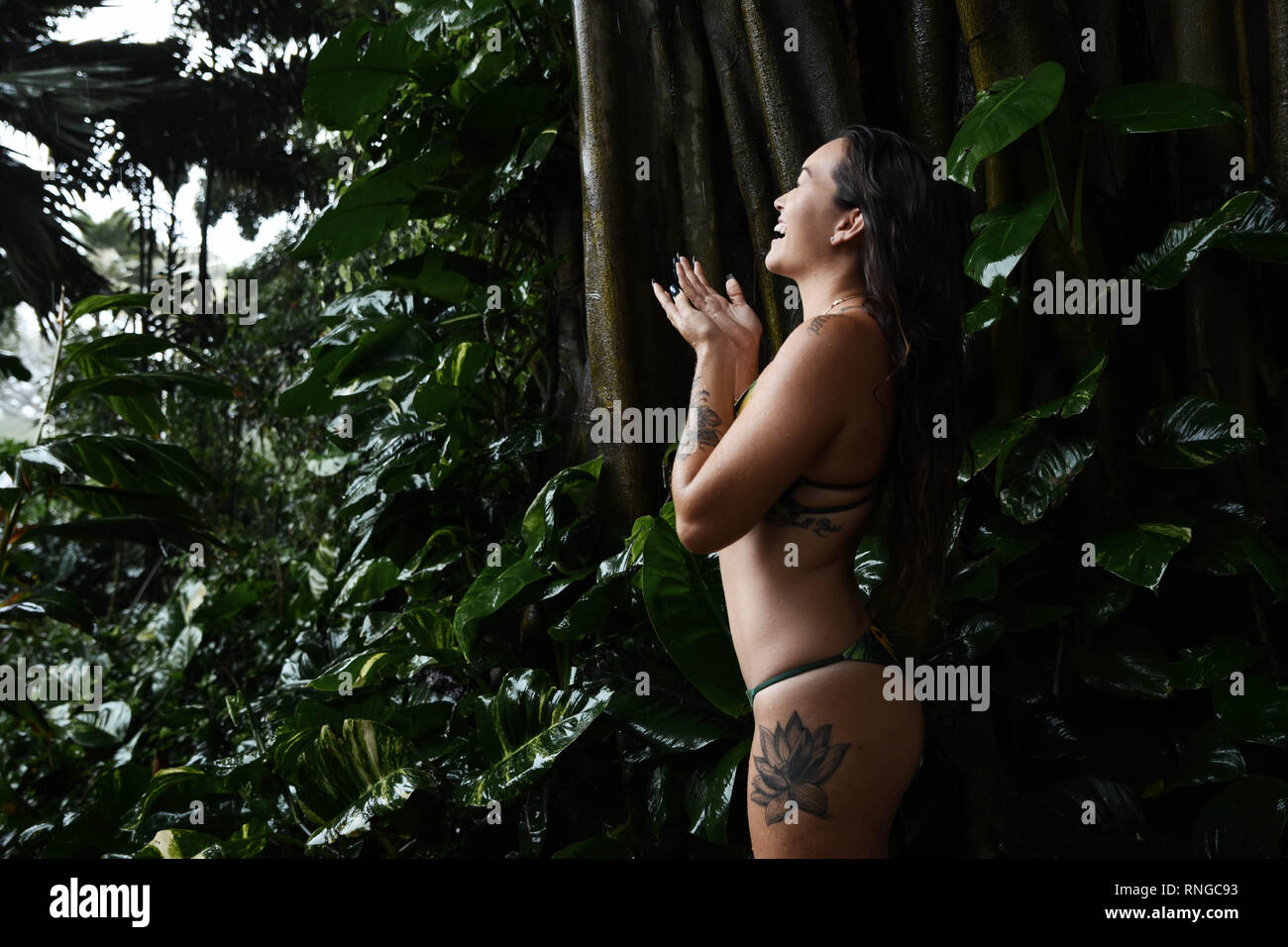 Pluie de Kauai Banque D'Images