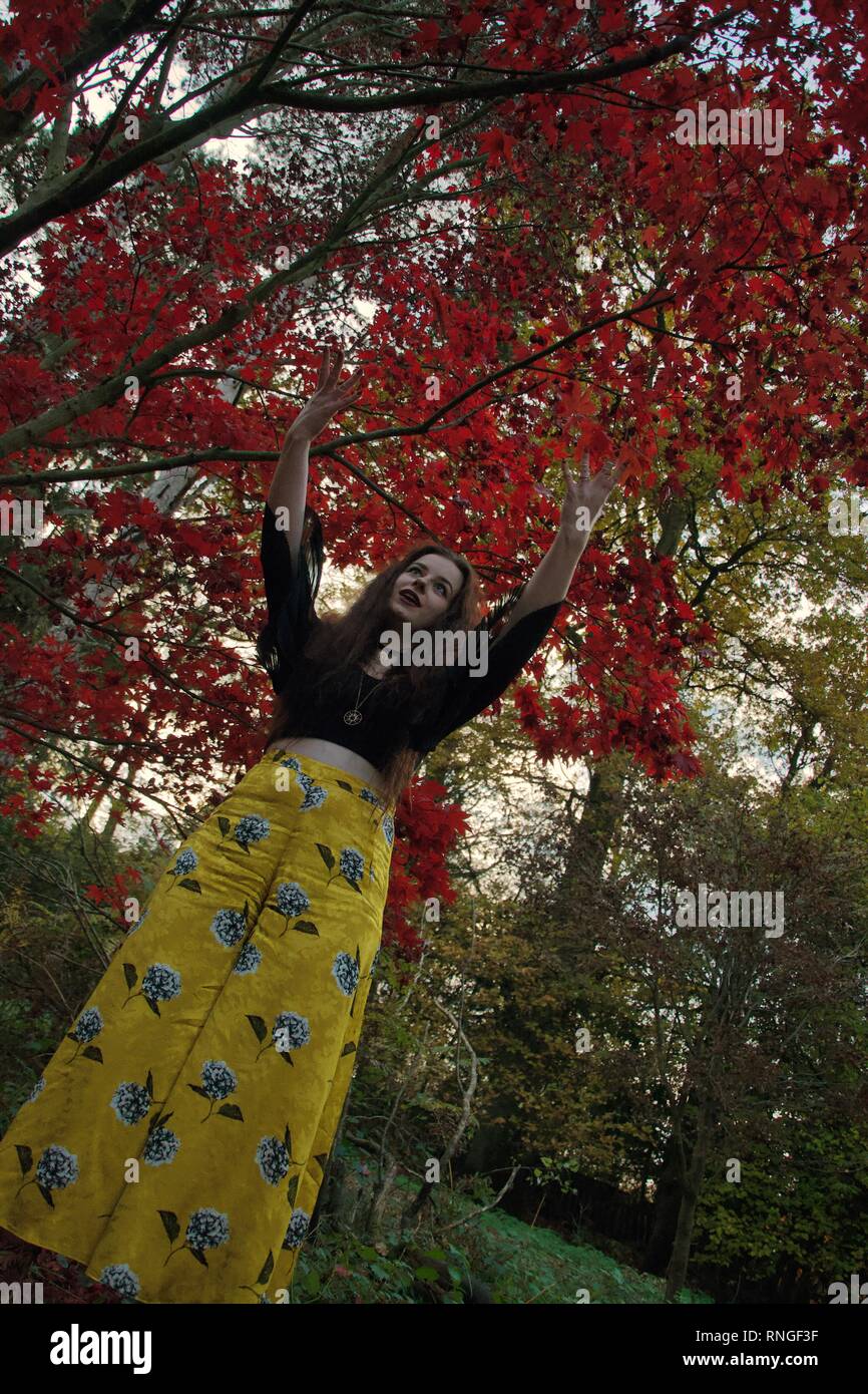 Une dame de race blanche avec une longue chevelure brune, fluide et manches noir jaune à motifs pantalon évasé danses dans la soirée dans une forêt sous red aut Banque D'Images