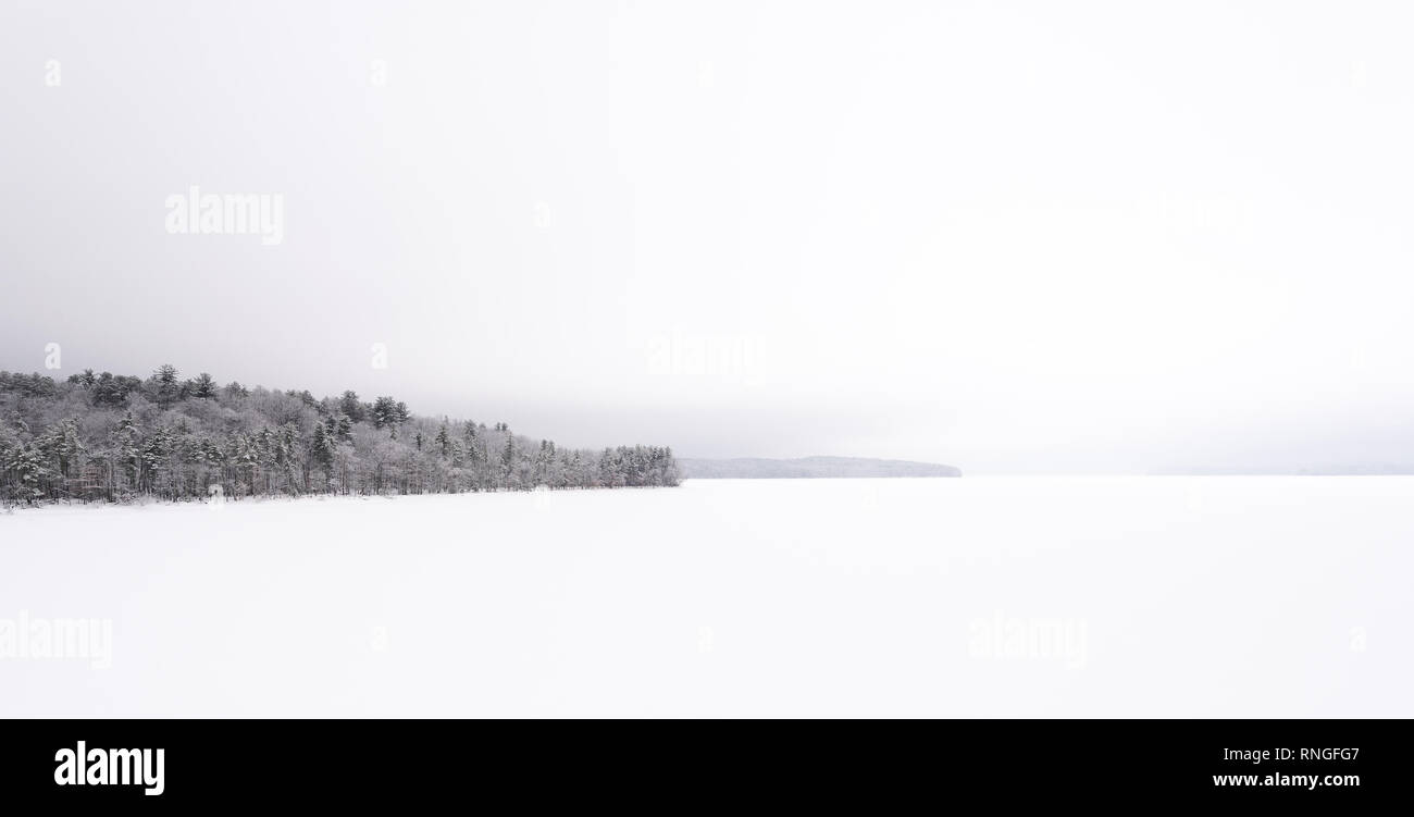 Réservoir Ashokan approvisionne, la destination touristique dans le Nord de l'État dans l'État partie de l'approvisionnement en eau de New York. Scène d'hiver, pendant une tempête. Réservoir couvert de neige et d'arbres Banque D'Images