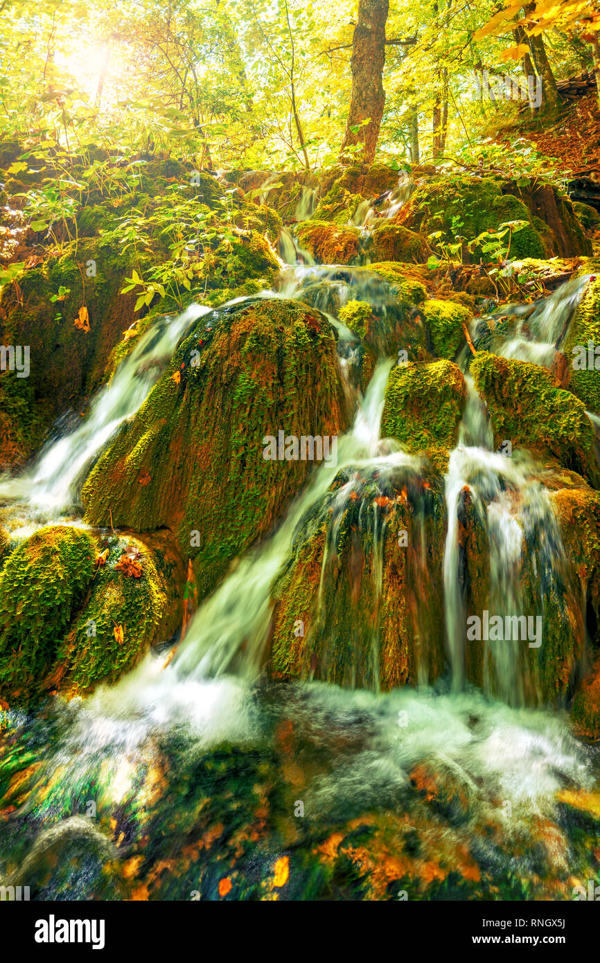 Belles cascades dans le parc national des lacs de Plitvice en forêt le jour d'automne ensoleillé, Croatie Banque D'Images