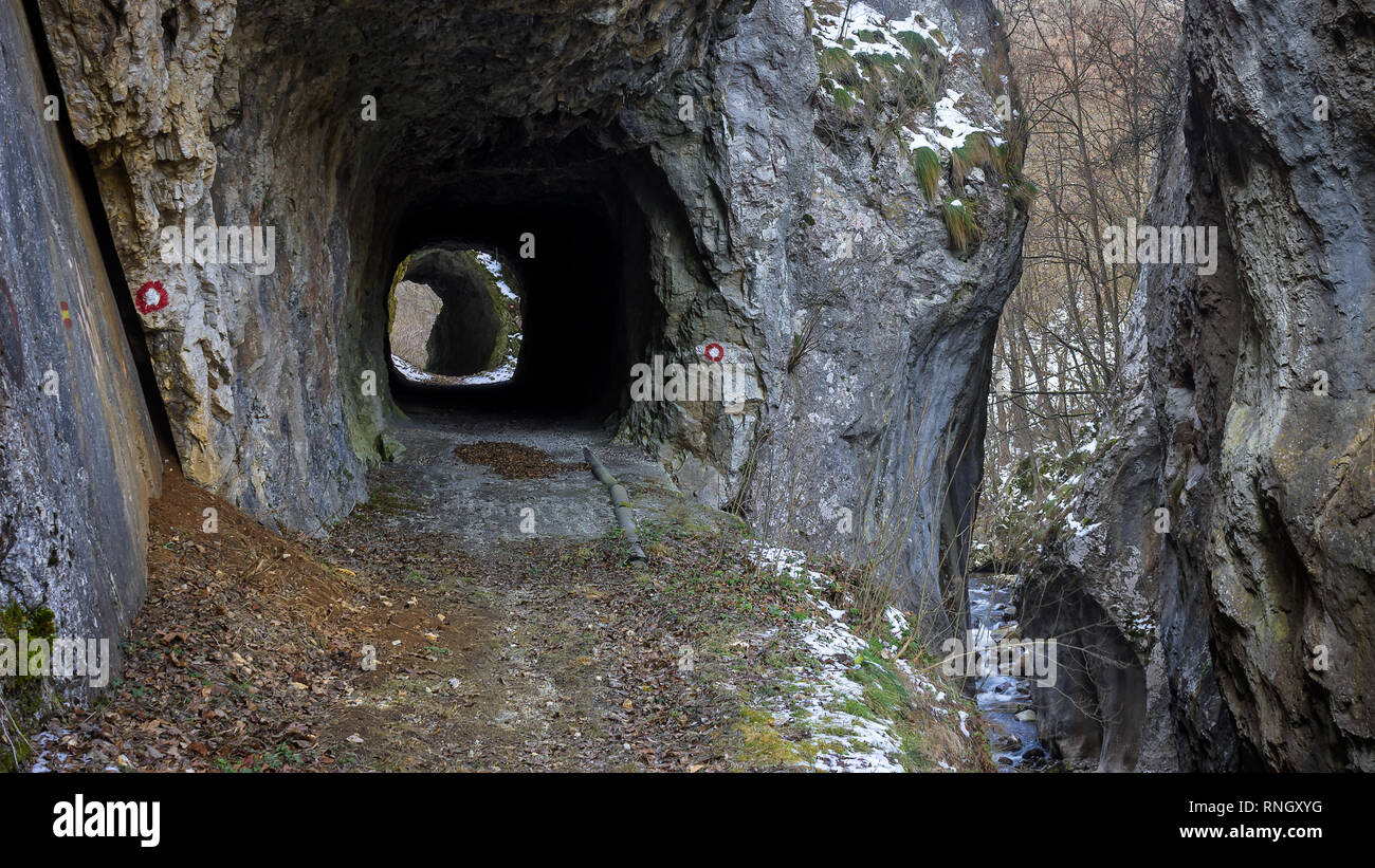 Le plus de la fente étroite canyon dans la Serbie a demandé le presse-purée (Cediljka) et deux vieux, tunnels rocheux qui ont été utilisés par un train de transport du charbon Banque D'Images