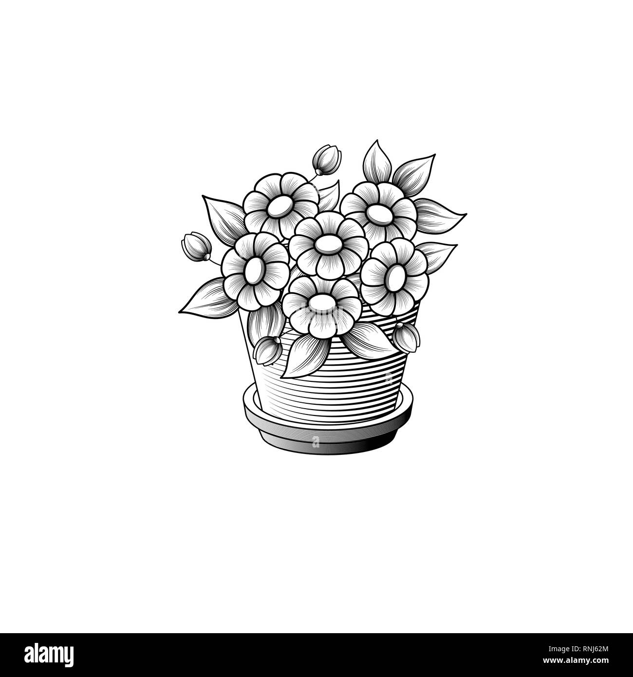 Fond blanc avec contour noir fleur en pot Illustration de Vecteur