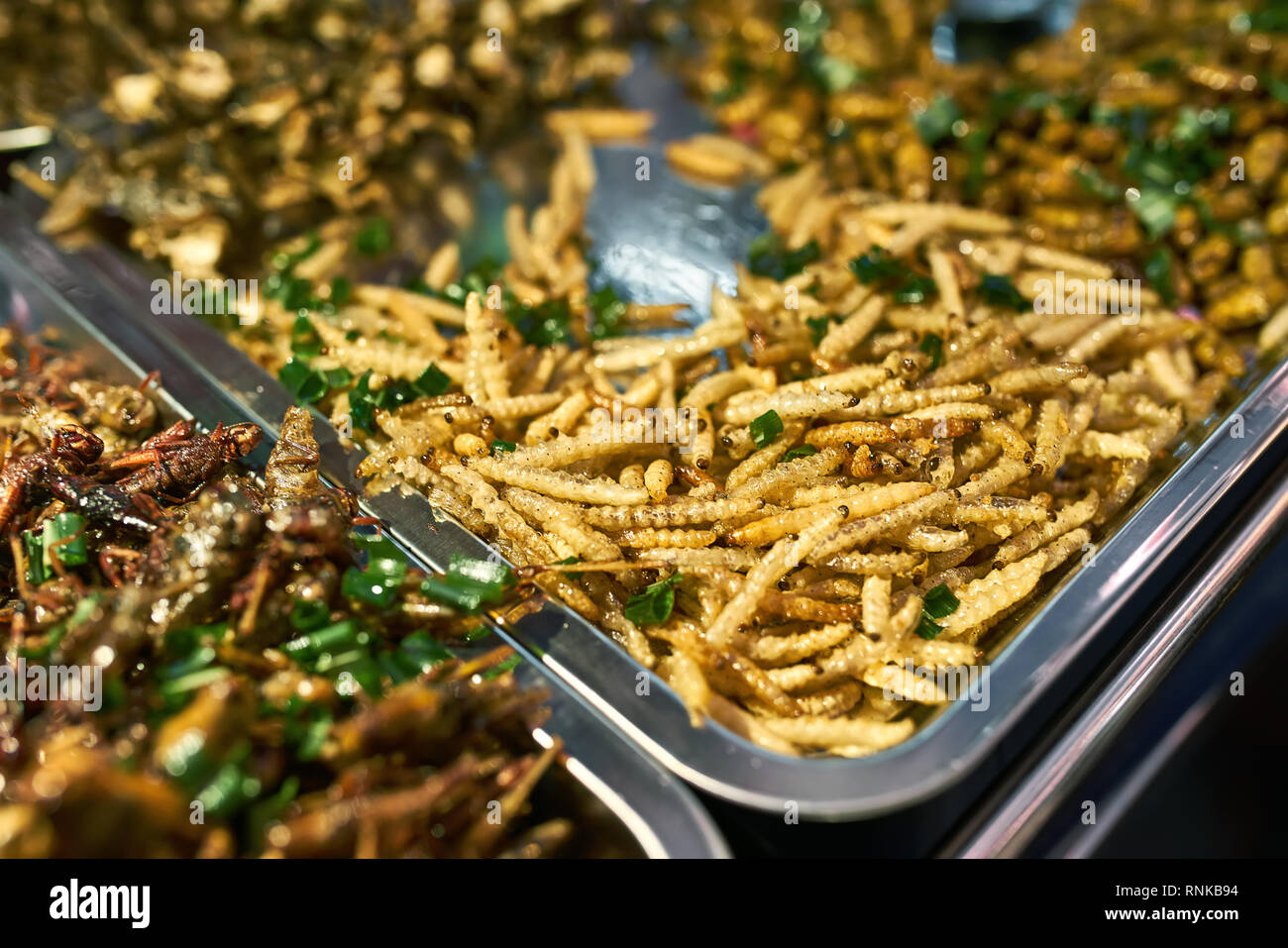Les insectes frits sur les plateaux de chrome sur le marché de l'alimentation de rue à Bangkok en Thaïlande. Il y a des vers et des sauterelles. Libre photo horizontale. Banque D'Images