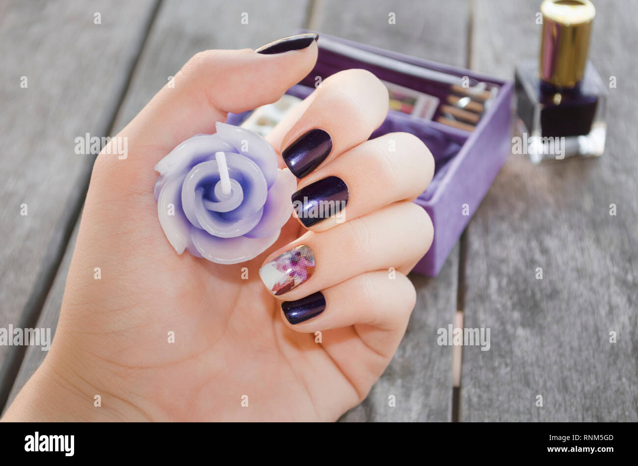 Les mains avec des ongles violet foncé violet bougie décorative design  holding Photo Stock - Alamy