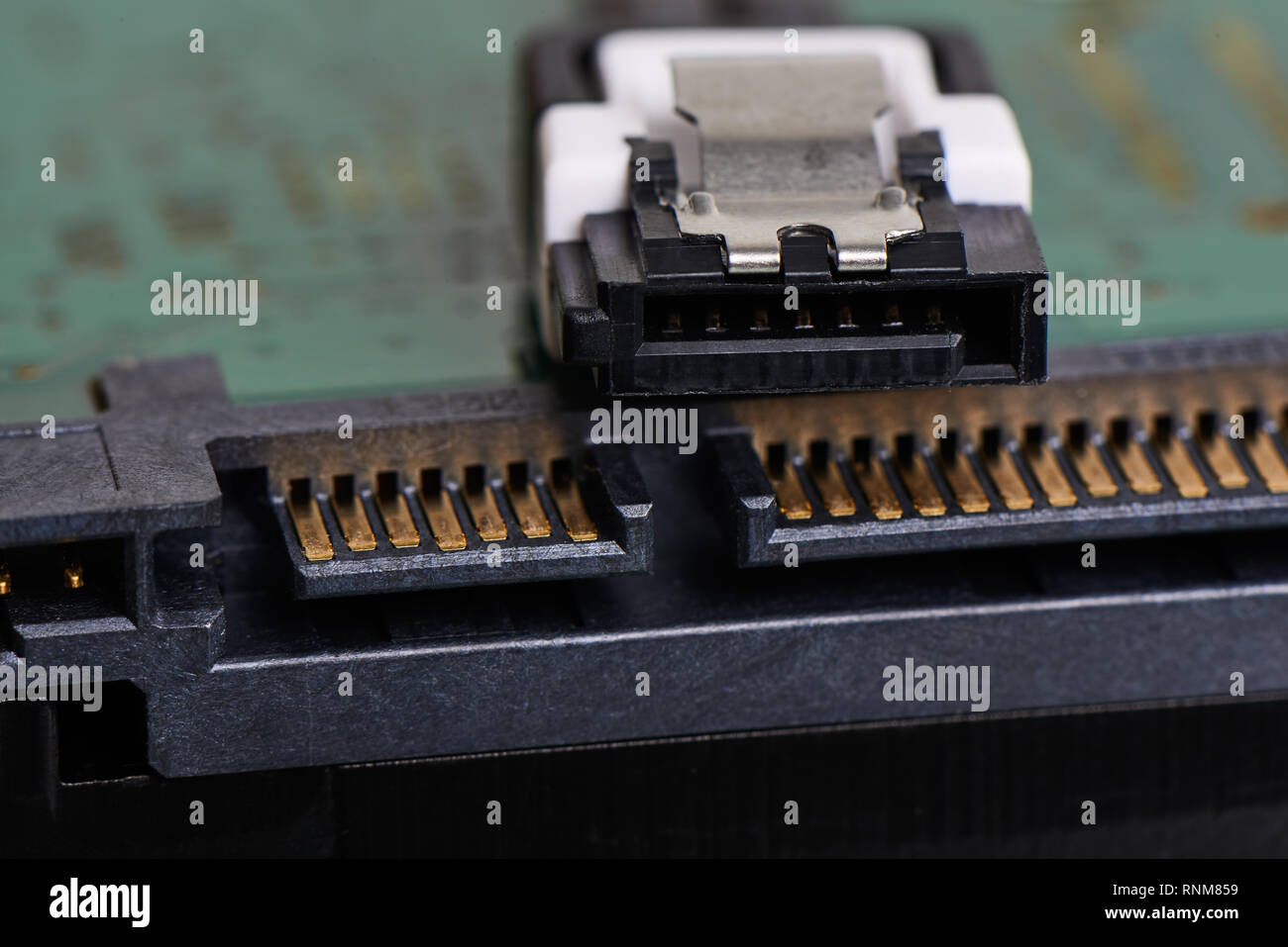 Close-up of SATA (Serial ATA série, pièce jointe au terminal de bus d'ordinateur), interface pour connecter des périphériques de stockage de masse Banque D'Images