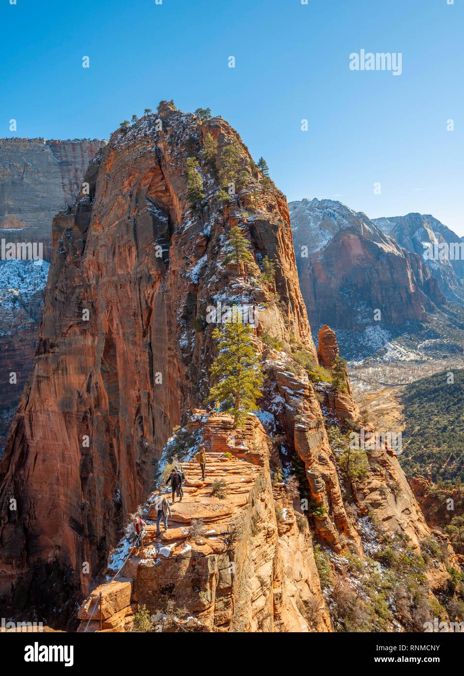 Point de vue avec vue sur Angels Landing, Angels Landing Trail, Zion Canyon, Zion National Park, Utah, USA Banque D'Images