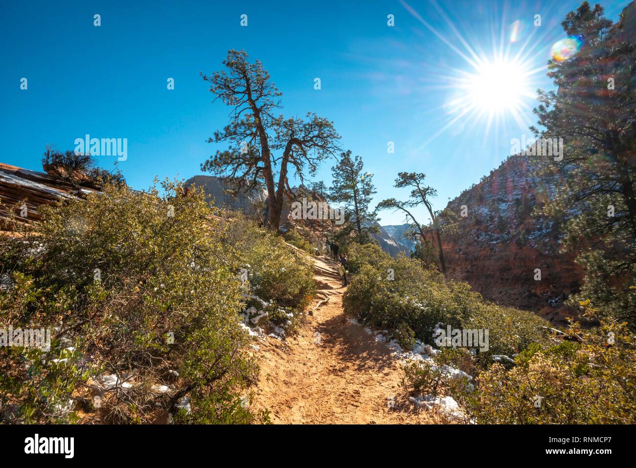Angels Landing Trail sentier de randonnée, Zion Canyon, paysage de montagne, Zion National Park, Utah, USA Banque D'Images