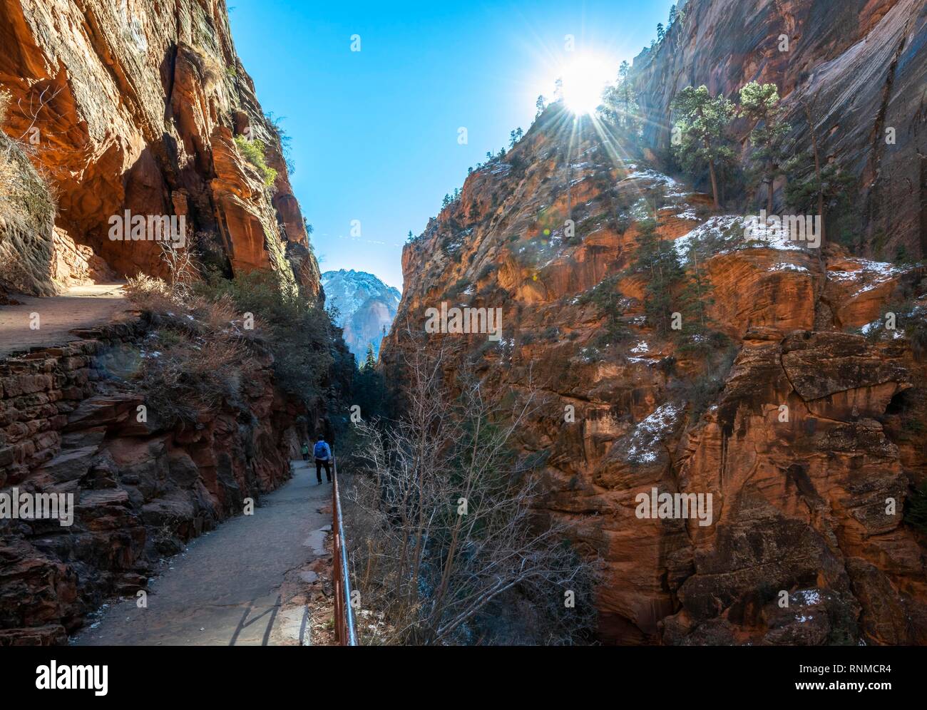 Angels Landing Trail sentier de randonnée, Zion Canyon, paysage de montagne, Zion National Park, Utah, USA Banque D'Images
