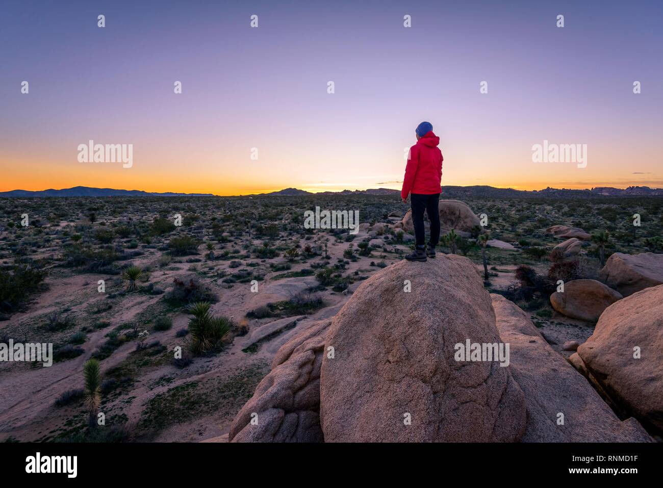 Jeune femme debout sur les rochers de granit, au coucher du soleil, des formations rocheuses, réservoir Blanc Camping, Joshua Tree National Park Banque D'Images