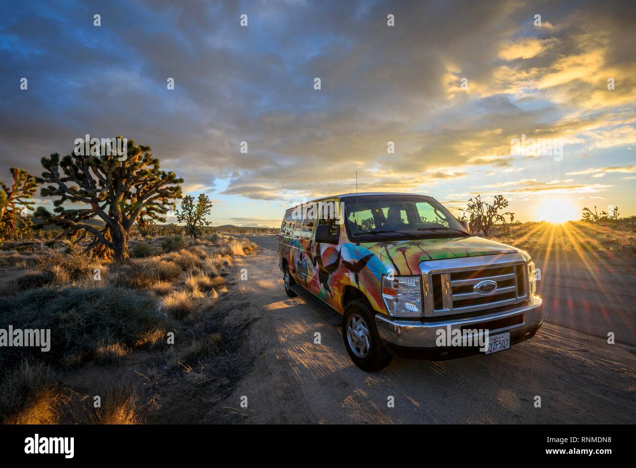 Camping-car coloré au bord de la route, Joshua Trees (Yucca brevifolia) au coucher du soleil, désert de Mojave desert landscape Banque D'Images