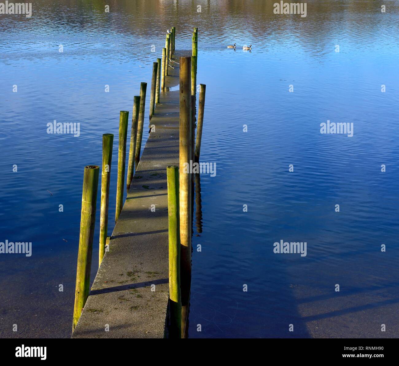 Derwent water Derwentwater lake landing,jetée,Keswick Lake District,Cumbria, Angleterre, Royaume-Uni Banque D'Images