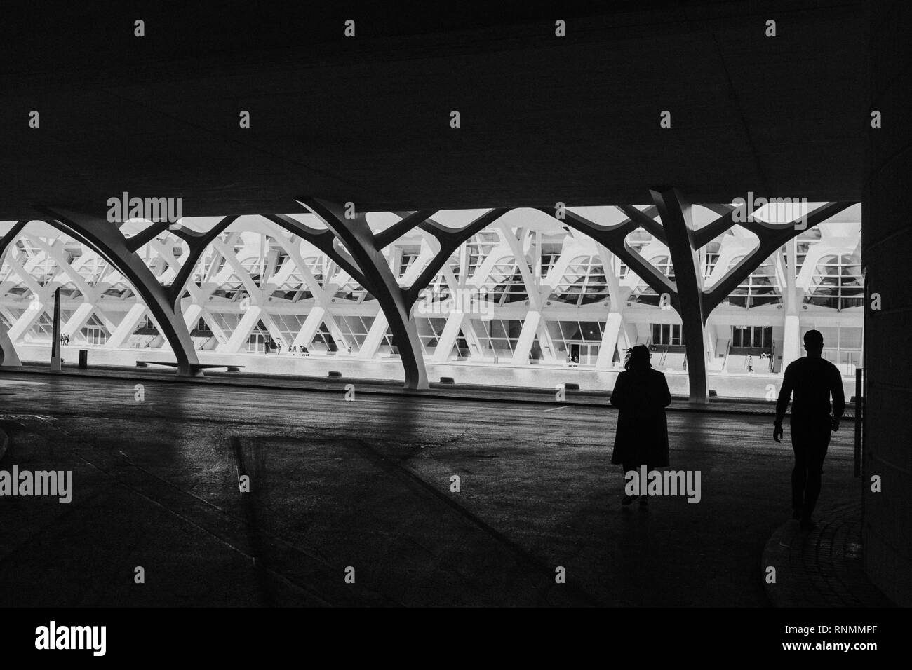 Valence, Espagne - 28 janvier 2019 : Musée des Arts et des sciences à Valence dans une belle journée Banque D'Images