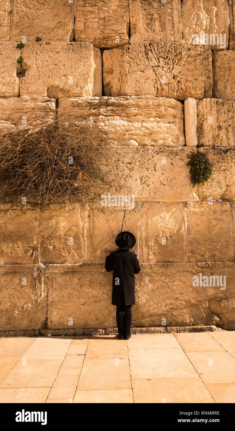 Un juif au Mur des lamentations à Jérusalem biblique, Israël, Moyen Orient Banque D'Images
