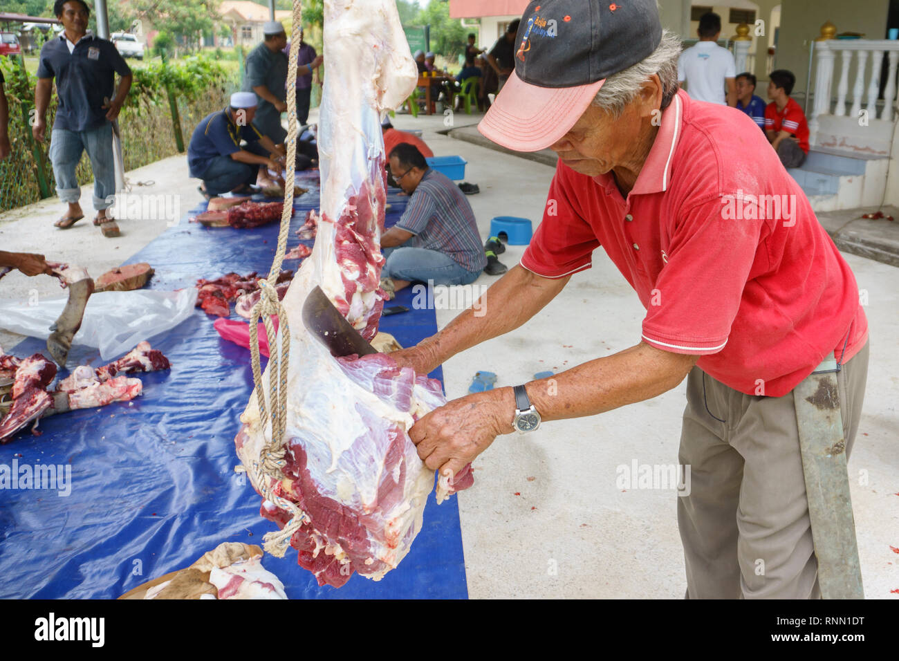 La Malaisie Sabah Kiulu - Sep 24, 2015 : musulman bouchers tronquer une vache buffalo à distribuer aux musulmans en a besoin au cours de l'Aïd Al-Adha Al Mubarak o Banque D'Images