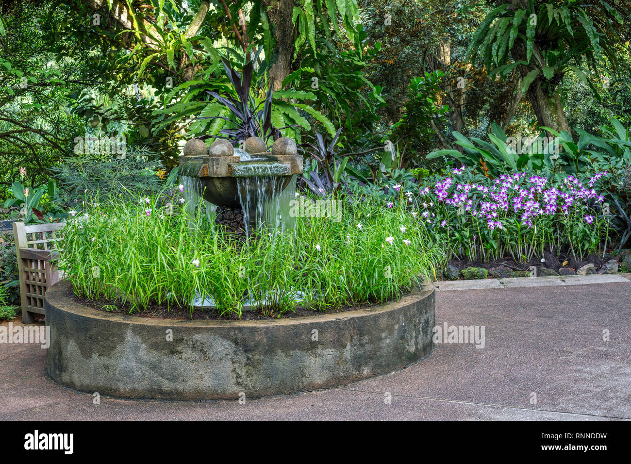 Le Jardin Botanique de Singapour, fontaine dans les Jardin des Orchidées. Banque D'Images