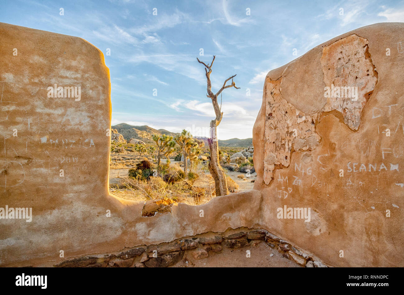 Le Ryan Ranch house est un adobe structure construite en 1896 dans ce qui est maintenant le parc national Joshua Tree, CA. Banque D'Images