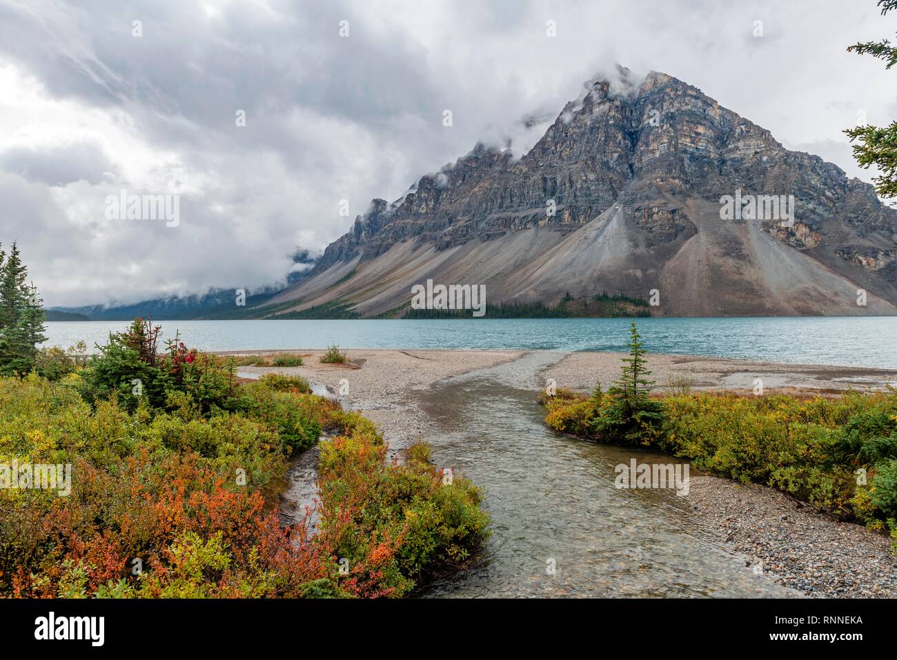 Petite rivière se jette dans le lac de couleur d'automne avec la rive, lac Bow, de montagnes en arrière avec ciel nuageux, Banff National Park Banque D'Images