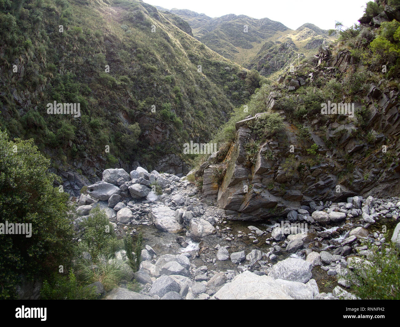 La vue à Reserva Florofaunistica réserver en Merlo, San Luis, Argentine. Banque D'Images