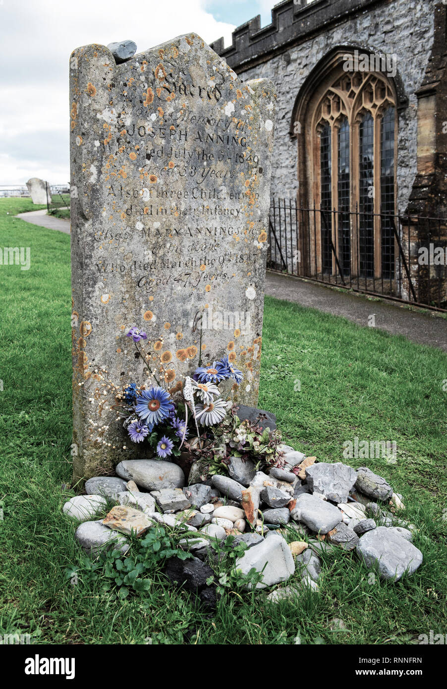 La pierre tombale d'origine Mary Anning avant qu'il a été remplacé en 2019. Les visiteurs aiment placer des fossiles sur la tombe au lieu de fleurs en sa mémoire. Banque D'Images