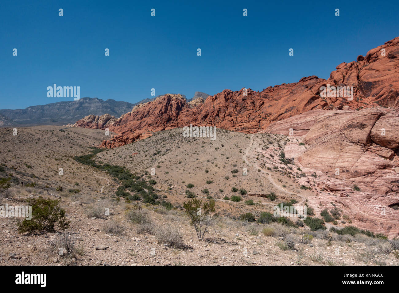 Le calicot Hills, Red Rock Canyon National Conservation Area, Las Vegas, Nevada, United States. Banque D'Images