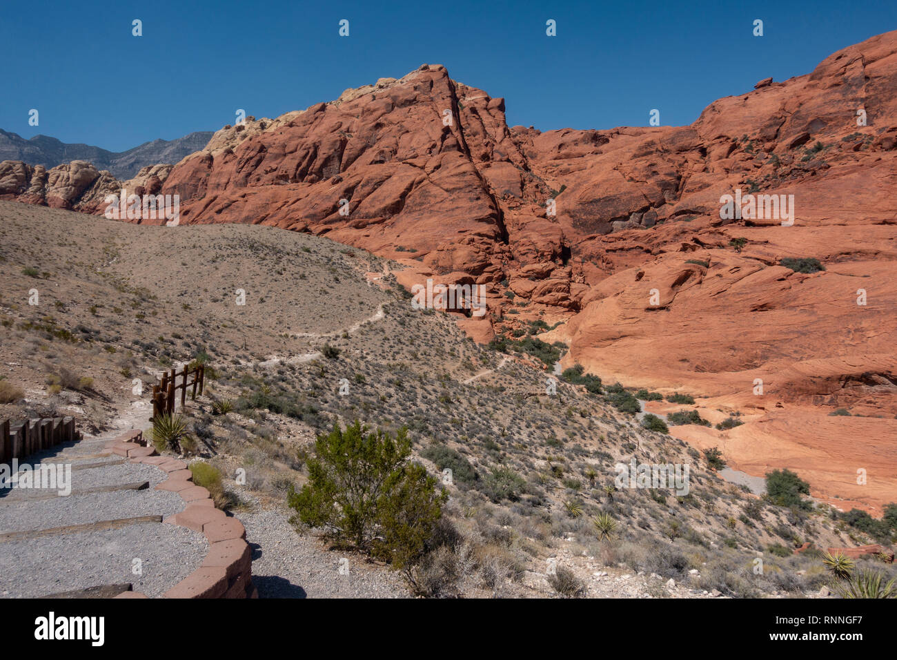 Sentier du Grand Cercle Boucle) Calico Hills, Red Rock Canyon National Conservation Area, Las Vegas, Nevada, United States. Banque D'Images