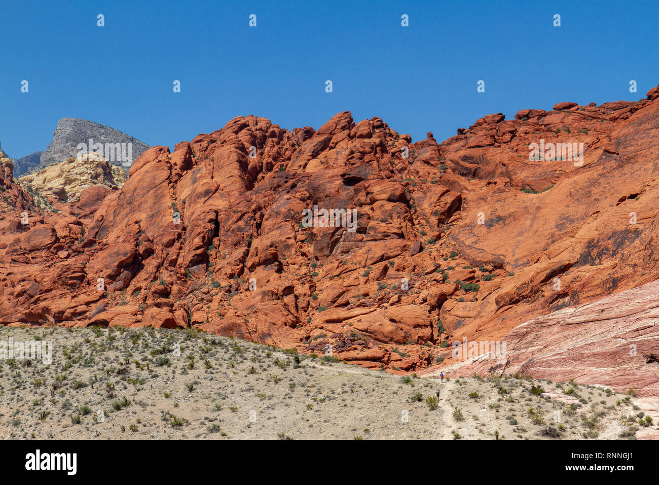 Le calicot Hills (avec deux petits marcheurs visible), Red Rock Canyon National Conservation Area, Las Vegas, Nevada, United States. Banque D'Images