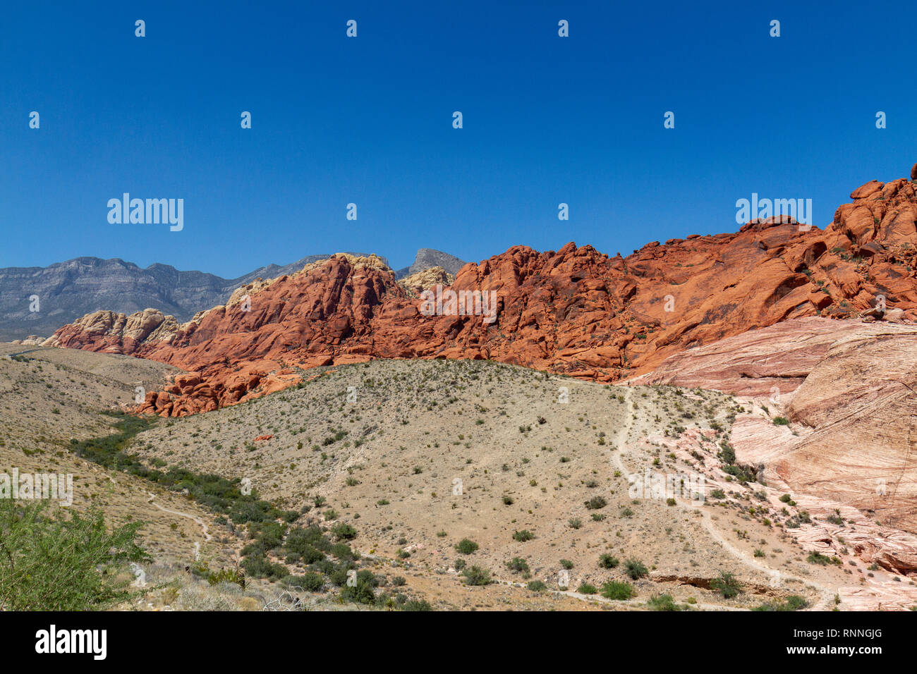 Le calicot Hills, Red Rock Canyon National Conservation Area, Las Vegas, Nevada, United States. Banque D'Images
