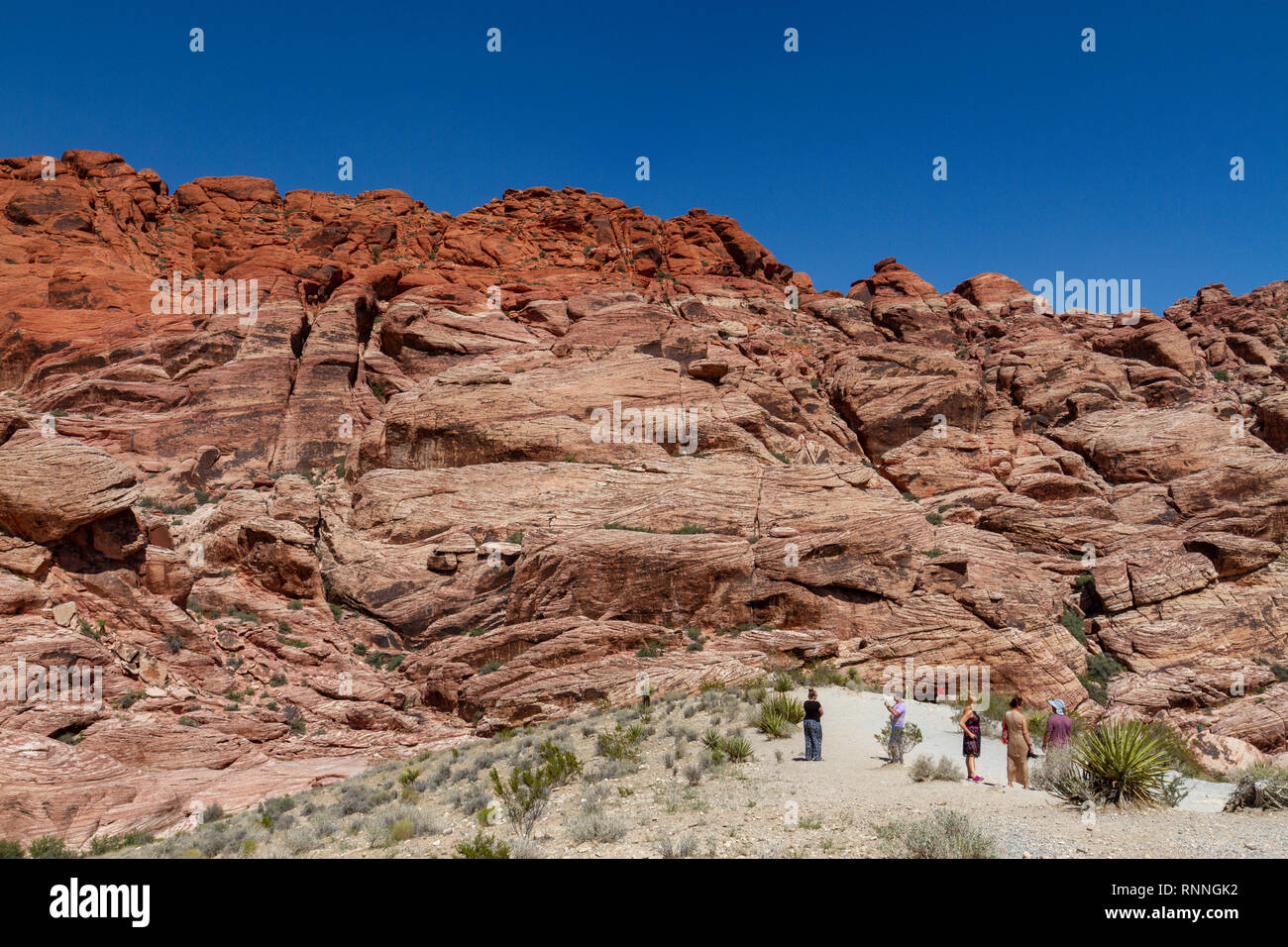 Les visiteurs qui cherchent à le calicot Hills, Red Rock Canyon National Conservation Area, Las Vegas, Nevada, United States. Banque D'Images