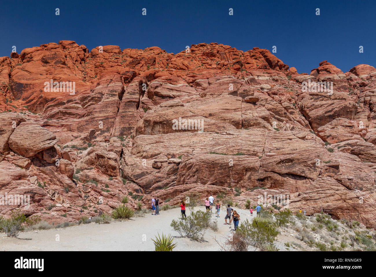 Les visiteurs qui cherchent à le calicot Hills, Red Rock Canyon National Conservation Area, Las Vegas, Nevada, United States. Banque D'Images