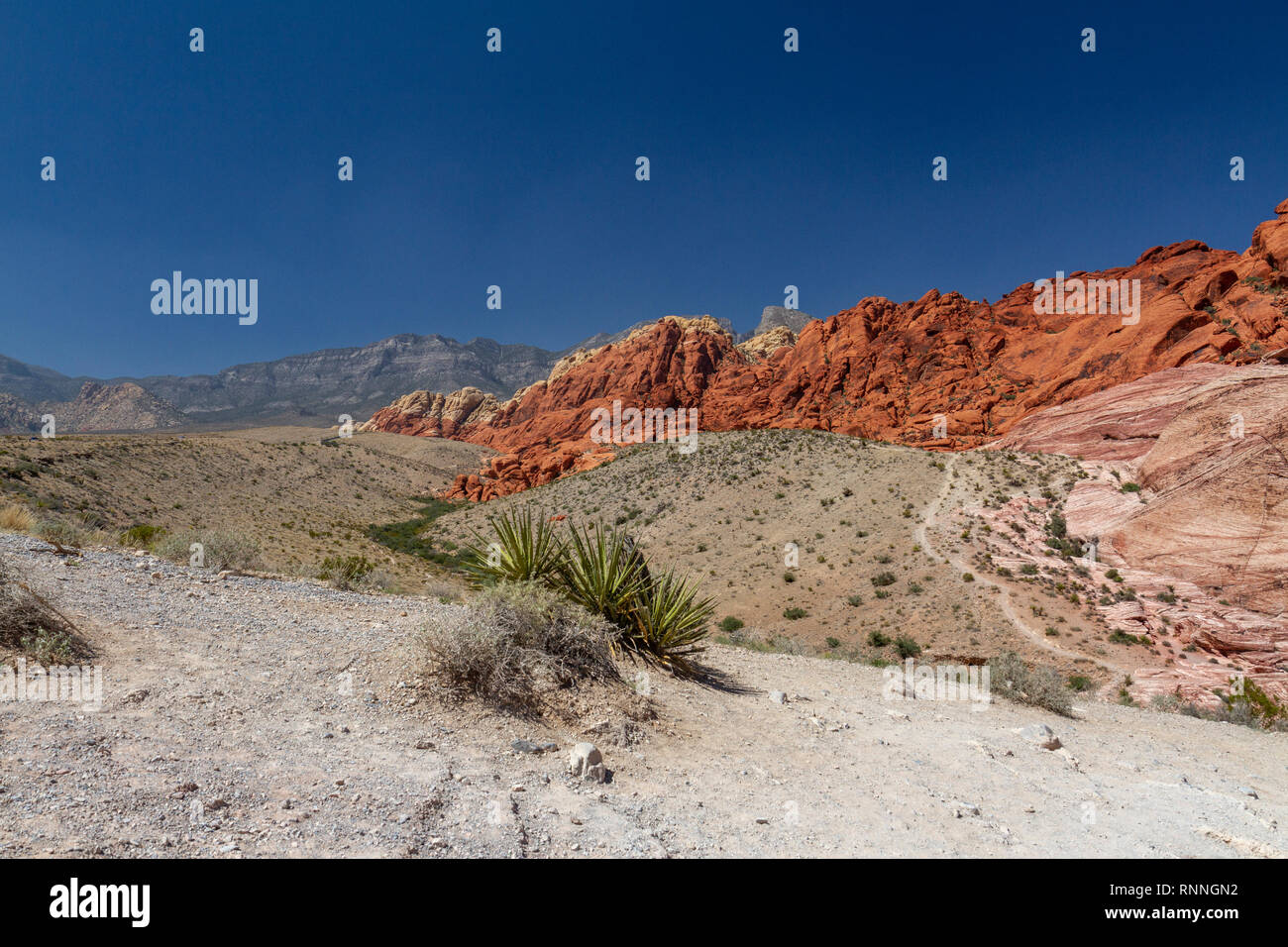 Le calicot Hills, Red Rock Canyon National Conservation Area, Las Vegas, Nevada, United States. Banque D'Images