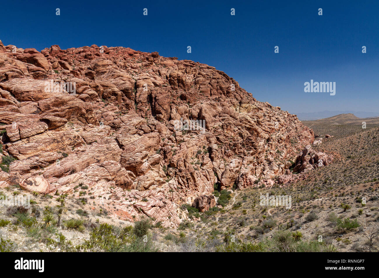 Le calicot Hills, Red Rock Canyon National Conservation Area, Las Vegas, Nevada, United States. Banque D'Images