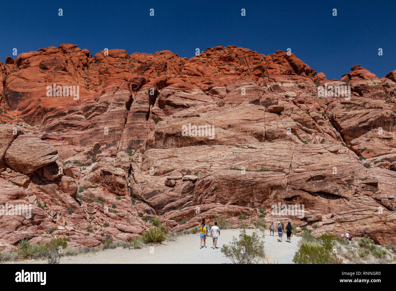 Les visiteurs regarder les collines Calico, Red Rock Canyon National Conservation Area, Las Vegas, Nevada, United States. Banque D'Images