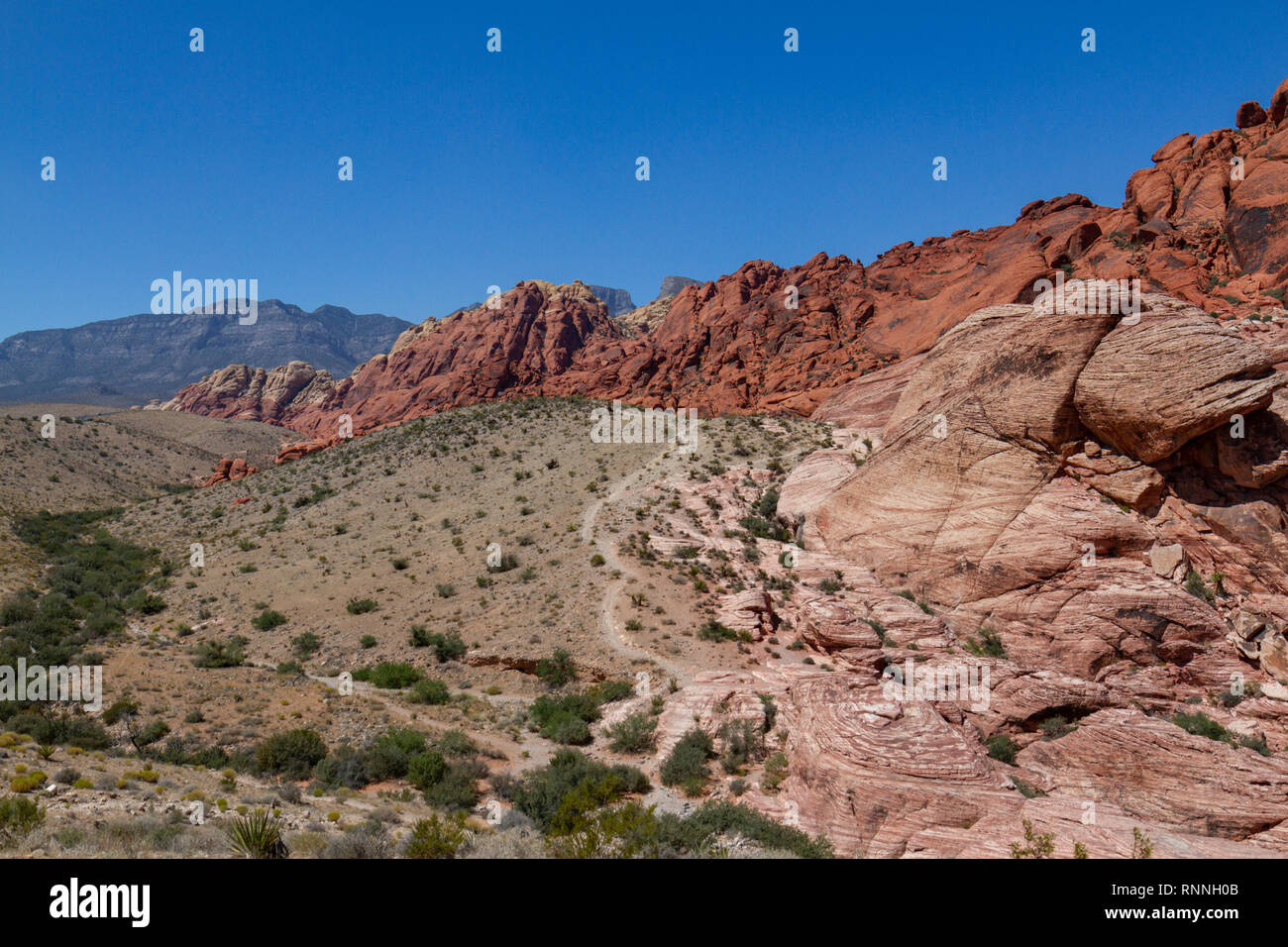Le calicot Hills, Red Rock Canyon National Conservation Area, Las Vegas, Nevada, United States. Banque D'Images