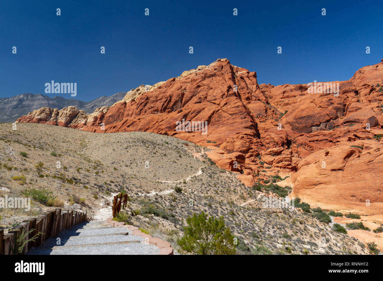 Le calicot Hills, Red Rock Canyon National Conservation Area, Las Vegas, Nevada, United States. Banque D'Images