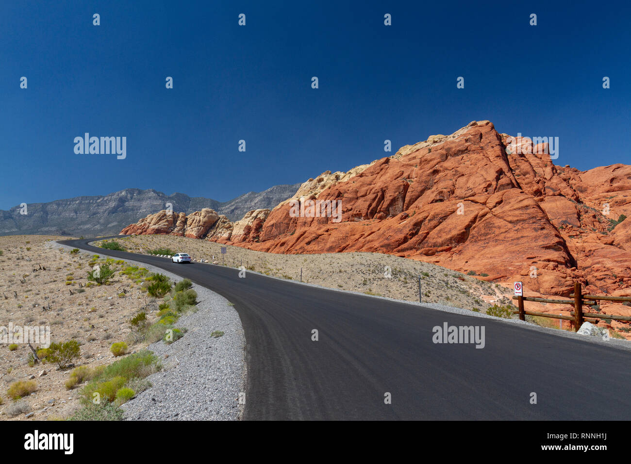 La boucle panoramique route en direction de la Calico Hills, Red Rock Canyon National Conservation Area, Las Vegas, Nevada, United States. Banque D'Images