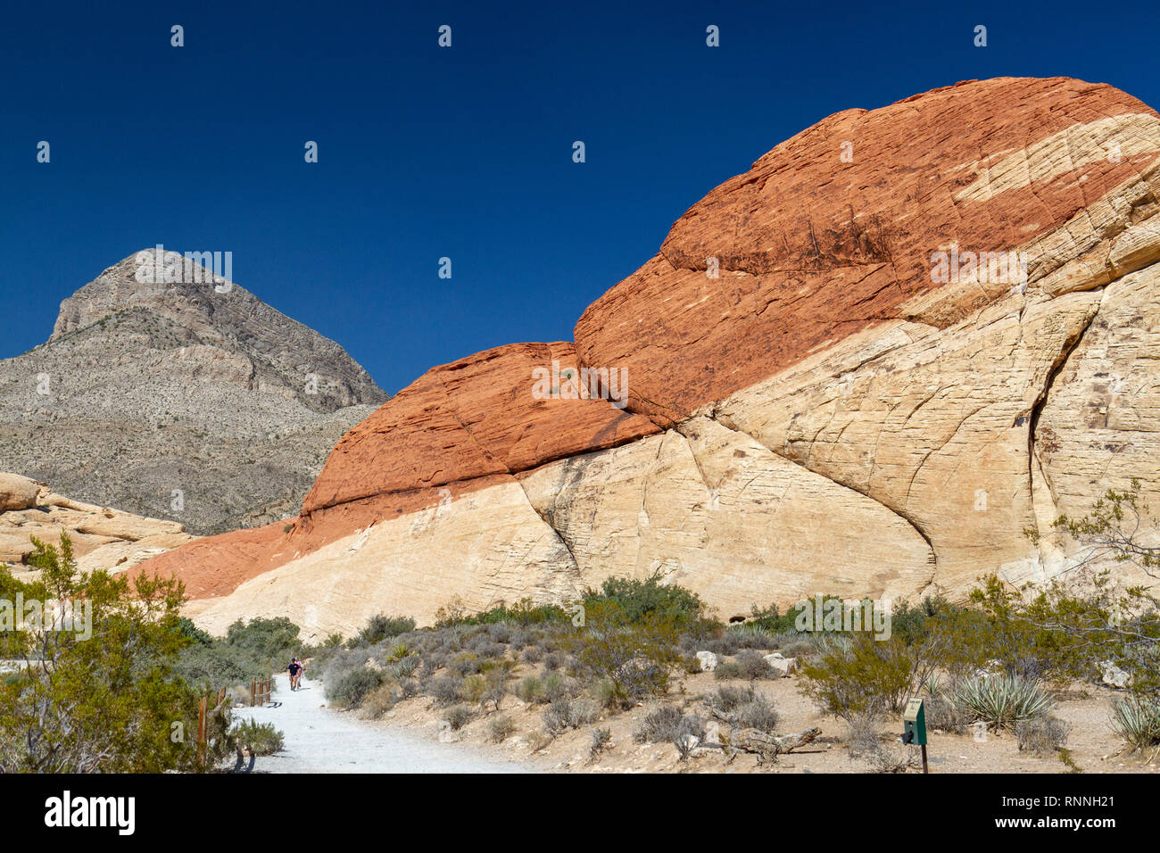 Carrière de grès donnent sur chemin, Red Rock Canyon National Conservation Area, Las Vegas, Nevada, United States. Banque D'Images