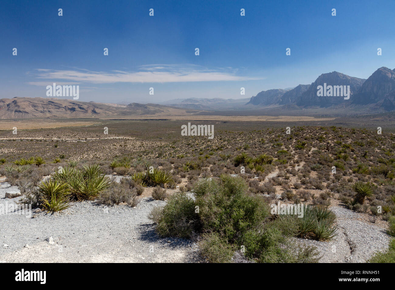 Voir environ au sud vers les montagnes au printemps, Red Rock Canyon National Conservation Area, Las Vegas, Nevada, United States. Banque D'Images