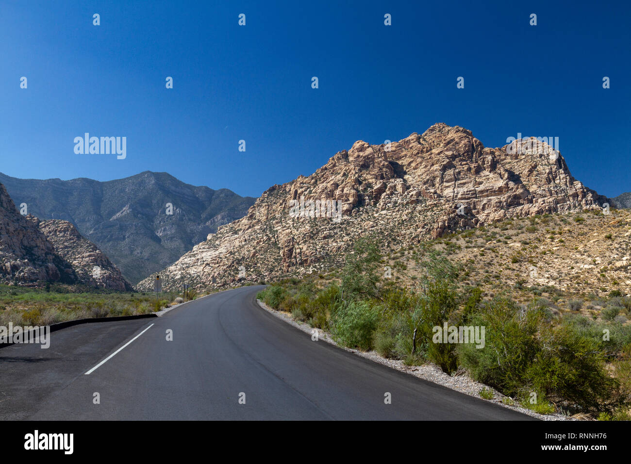 Vue vers le White Rock Hills, Red Rock Canyon National Conservation Area, Las Vegas, Nevada, United States. Banque D'Images