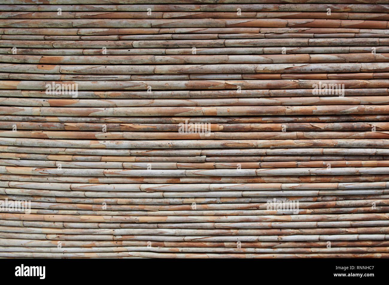 Bambou sec arrière-plan. Modèle de bâton en bois toit Banque D'Images
