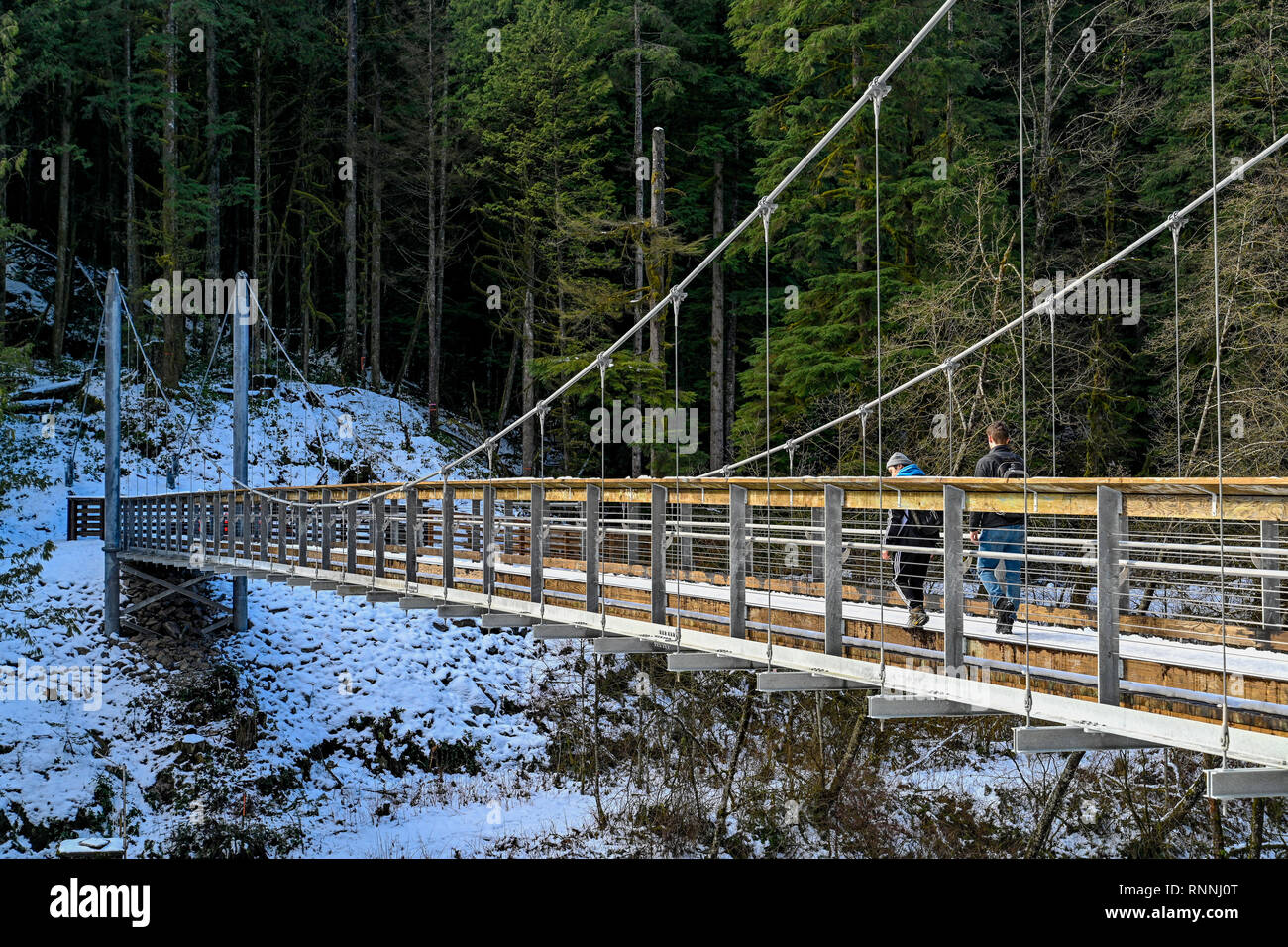 Le pont suspendu de la rivière Seymour, Réserve de conservation Lower Seymour, North Vancouver, Colombie-Britannique, Canada Banque D'Images