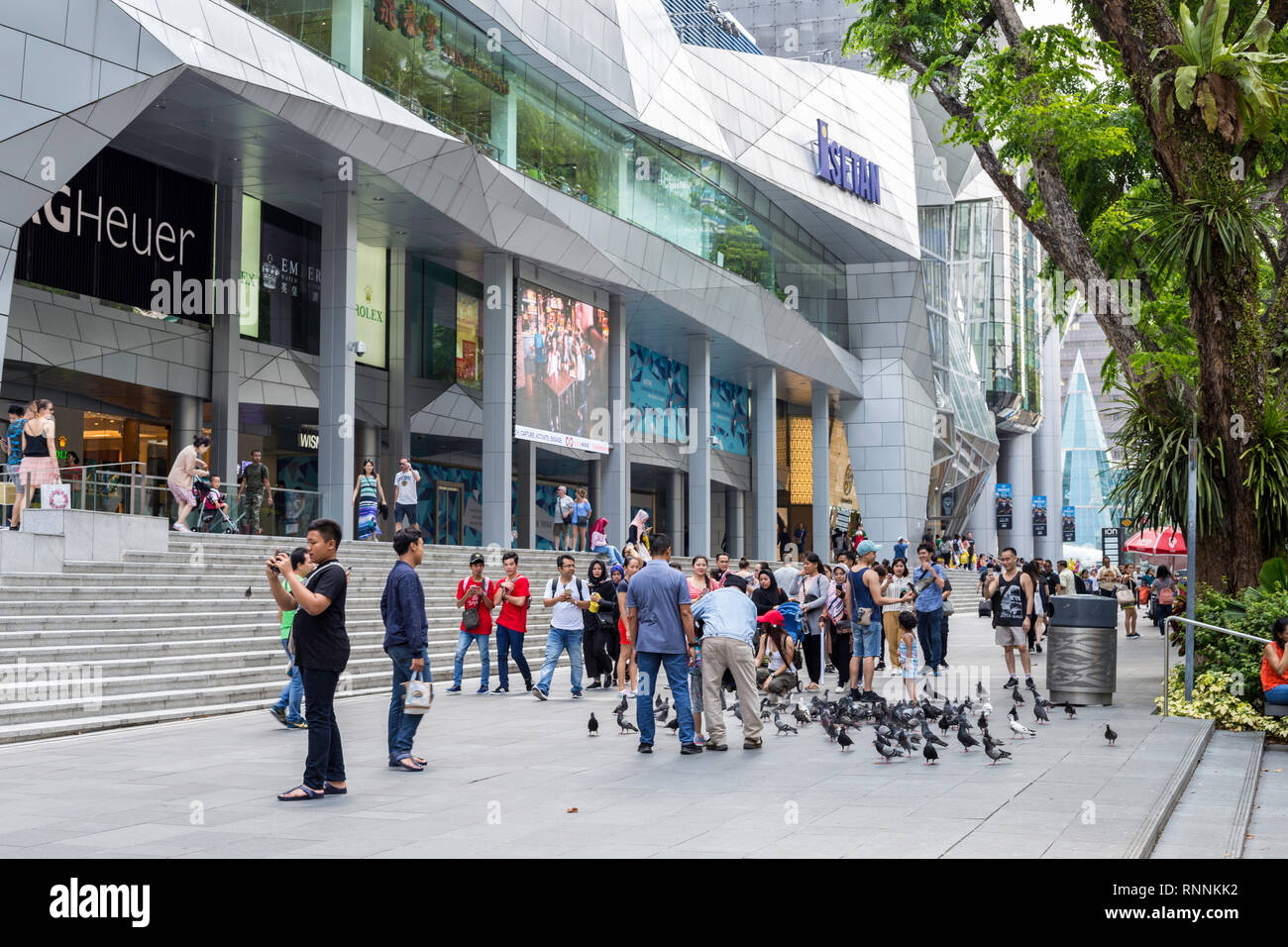 Singapour, nourrir les pigeons, Orchard Road, scène de rue. Banque D'Images