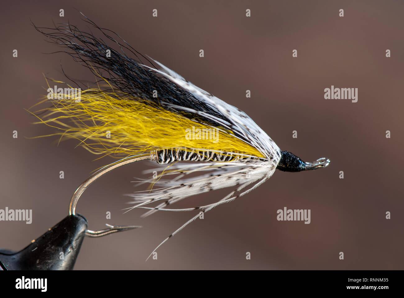Classic et coloré de pêche à la mouche du saumon de l'Atlantique des mouches humides. Banque D'Images