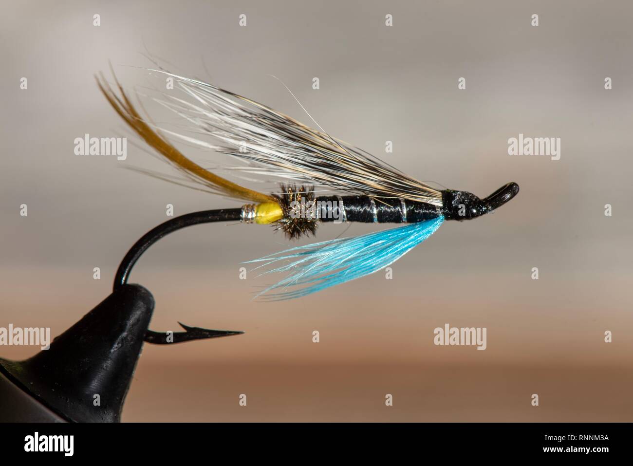 Canne à mouche Shakespeare Oracle 2 EXP Salmon/Saumon