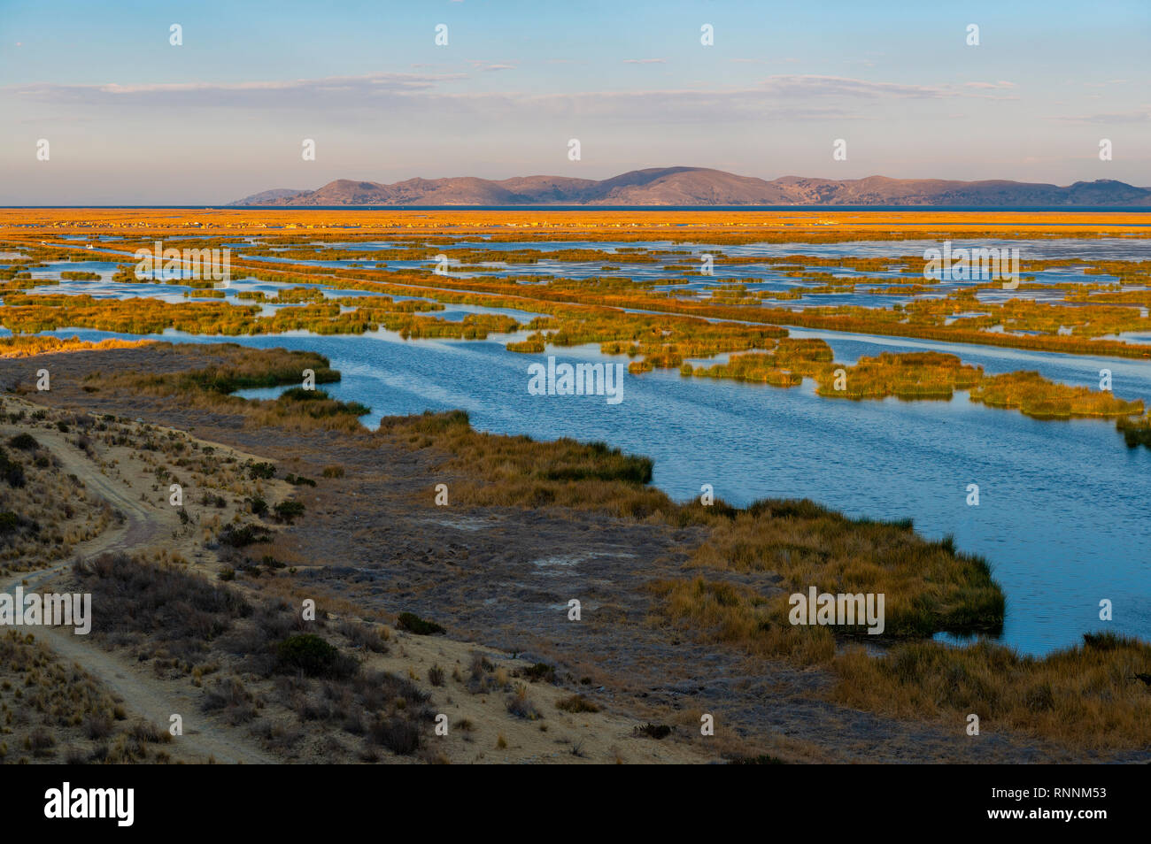 Lever du soleil sur le lac Titicaca, près de la ville de Puno avec vue sur le roseau totora îles flottantes d'Uros groupe autochtone, le Pérou. Banque D'Images