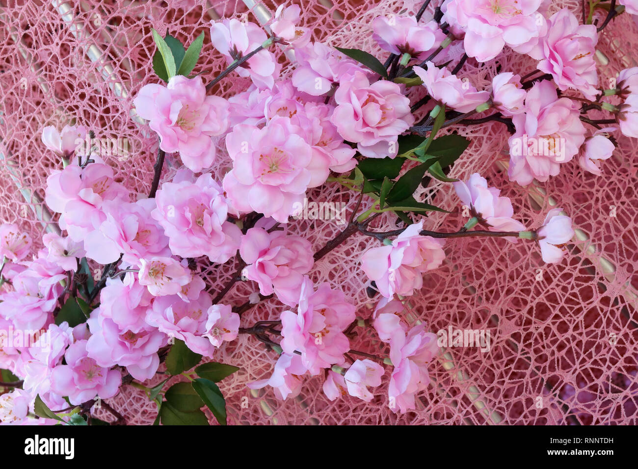 Pâques En Plastique Rose Fleurs De Cerisier Dans Le Cadre D