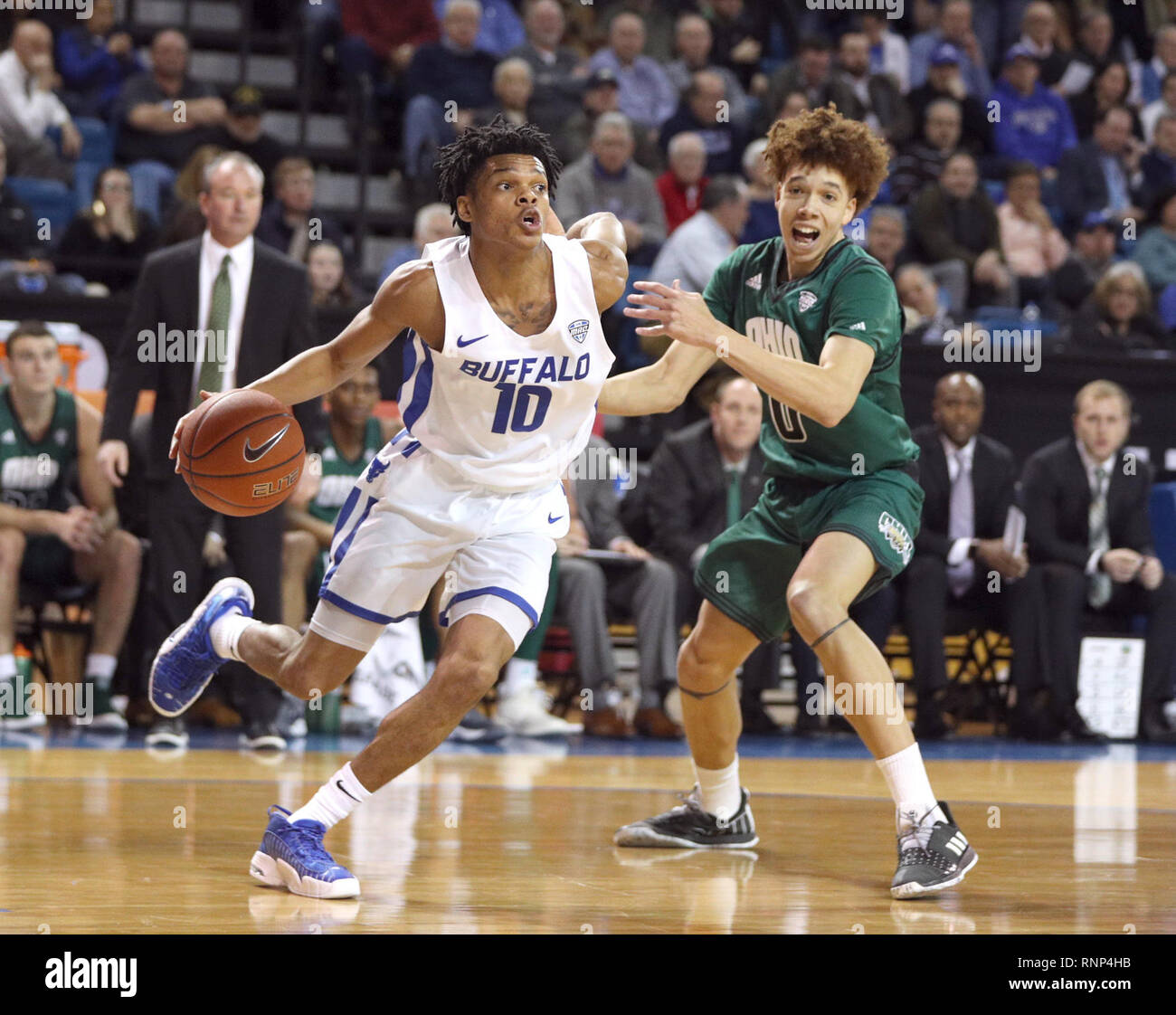 Amherst, New York, USA. 19 févr. 2019. Les bisons mâles guard Ronaldo Segu (10) dribble la balle passé Ohio Bobcats guard Jason Preston (0) au cours de la première moitié de jouer dans le jeu de basket-ball de NCAA entre les Bobcats de l'Ohio et Buffalo Bulls à Alumni Arena à Amherst, N.Y. (Nicholas T. LoVerde/Cal Sport Media) Credit : Cal Sport Media/Alamy Live News Banque D'Images