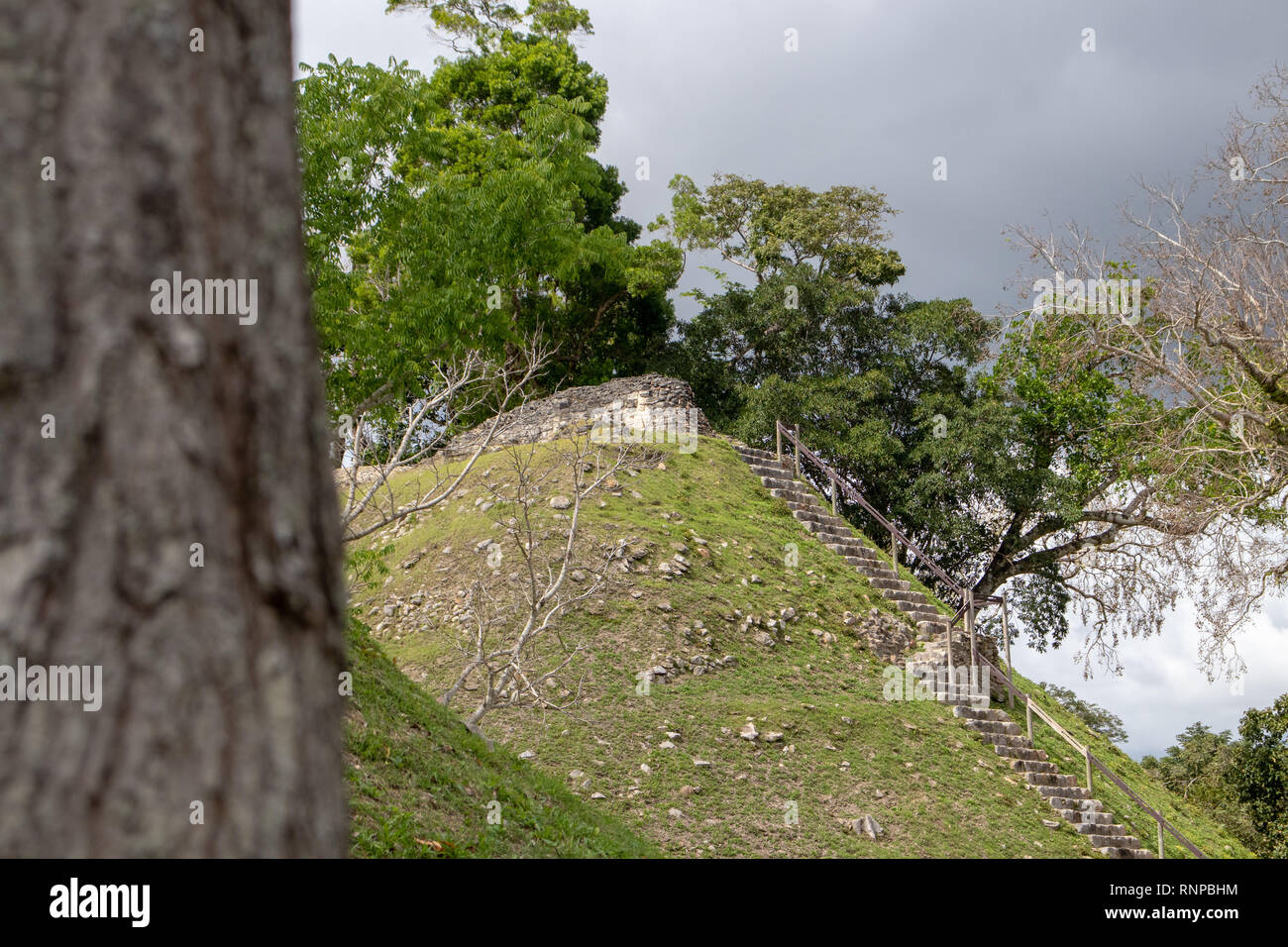 Mayan Ruins in Belize Banque D'Images