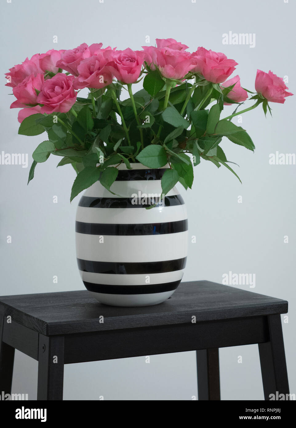 Roses roses dans vase Omaggio Banque D'Images