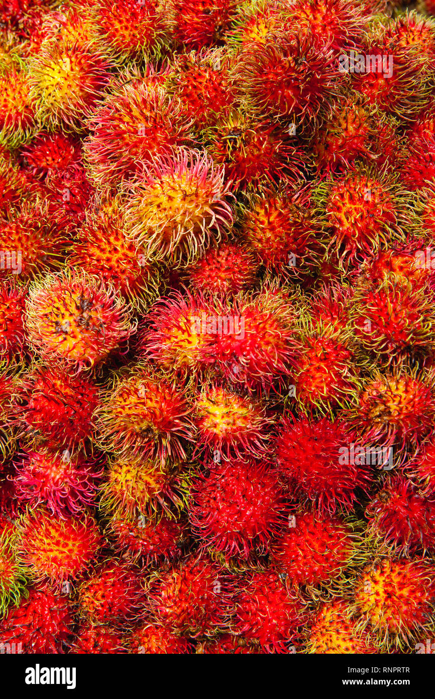 Bouquet de fruits ramboutan frais sur le marché local à Sri Lanka. Le ramboutan est un arbre tropical de la famille des Sapindaceae. Banque D'Images