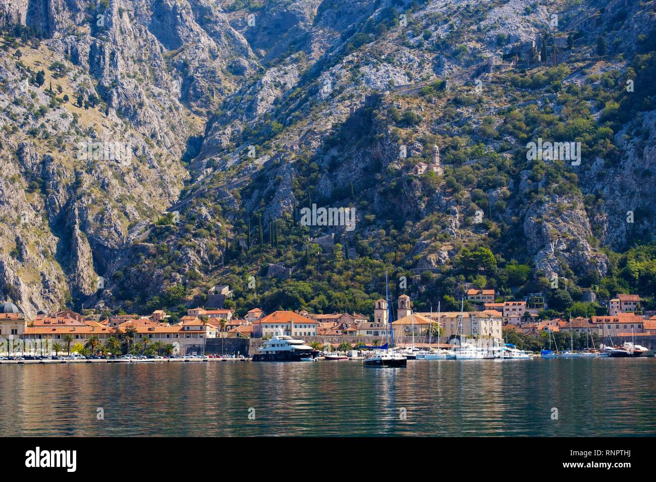 Kotor avec la forteresse de Sveti Ivan, baie de Kotor, Monténégro Banque D'Images